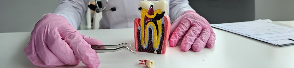Endodontics