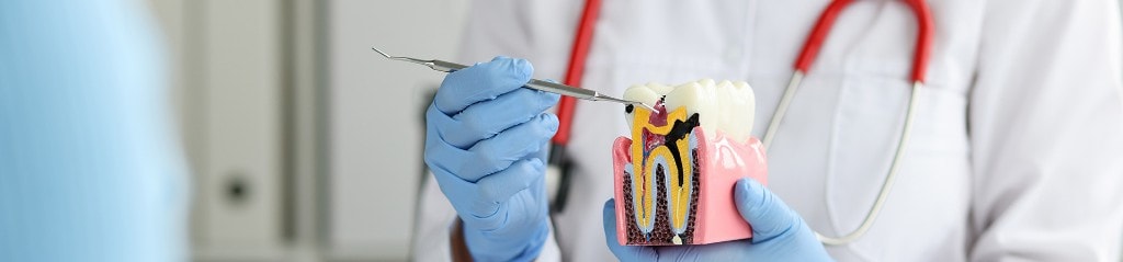 Prosthodontics & Implantology